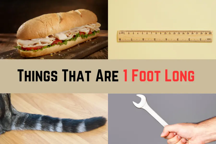 Things That Are 1 Foot Long