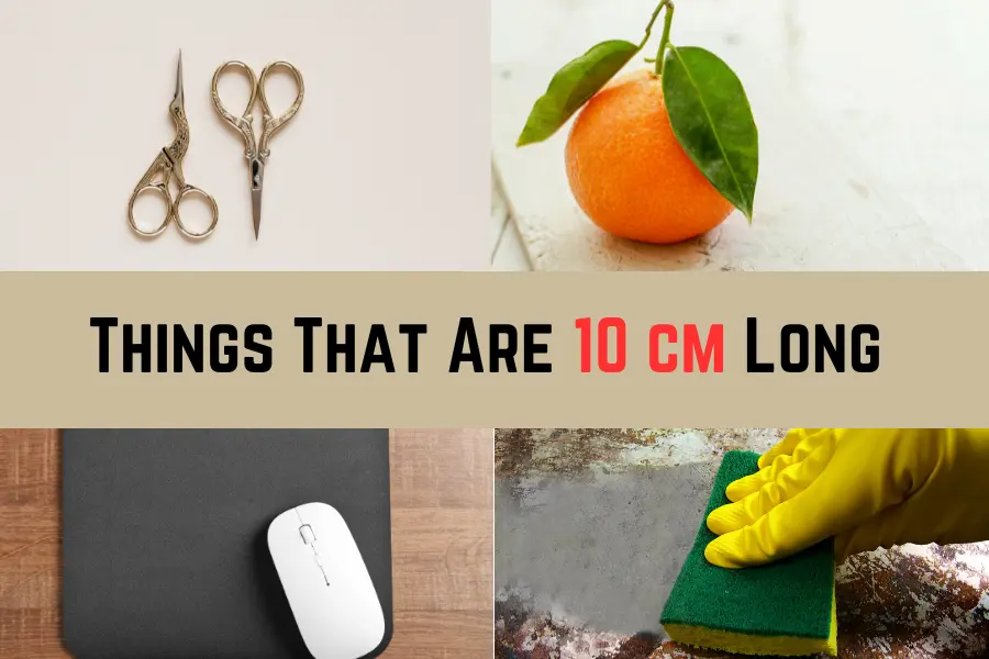 Things That Are 10 Centimeters Long