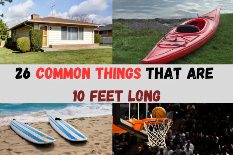 Things That Are 10 Feet Long