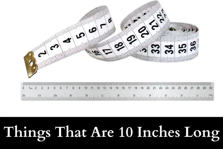 Things That Are 10 Inches Long