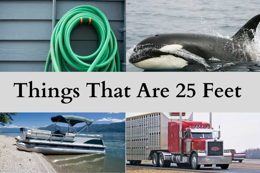 Things That Are 25 Feet Long or Big