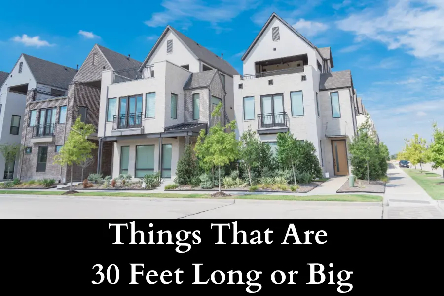 Things That Are 30 Feet Long or Big