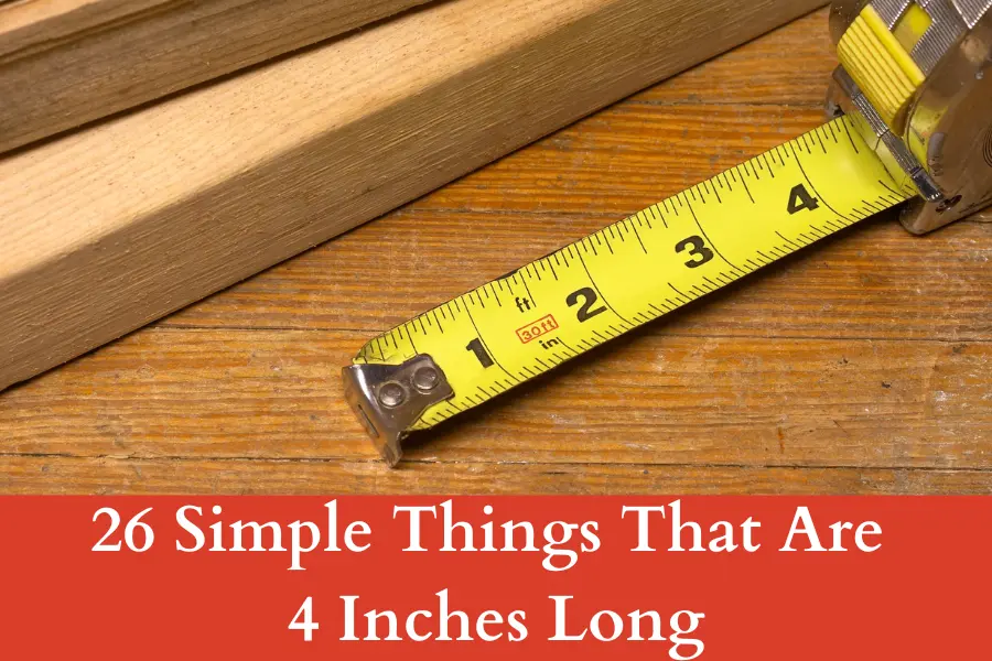 Things That Are 4 Inches Long