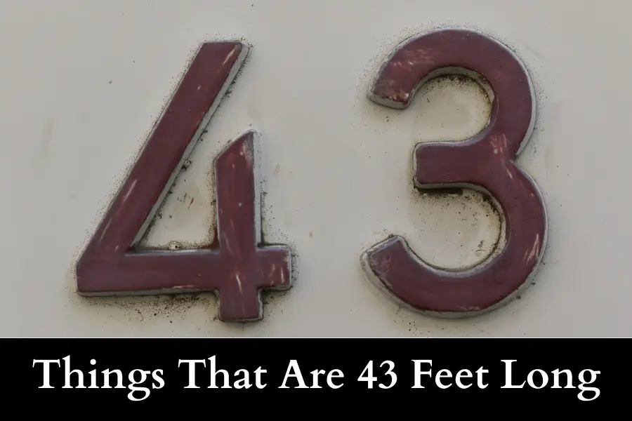 Things That Are 43 Feet Long