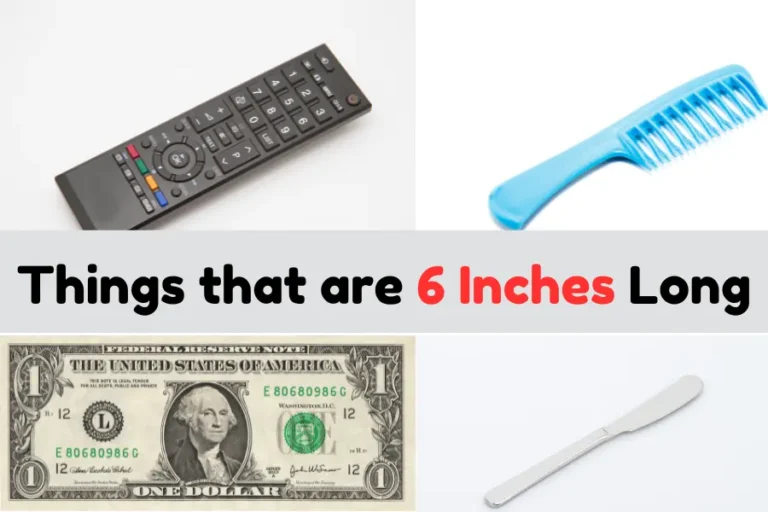 Things that are 6 Inches Long