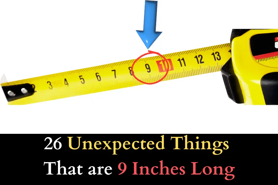 how big is 9 inches - Things that are 9 inches Long