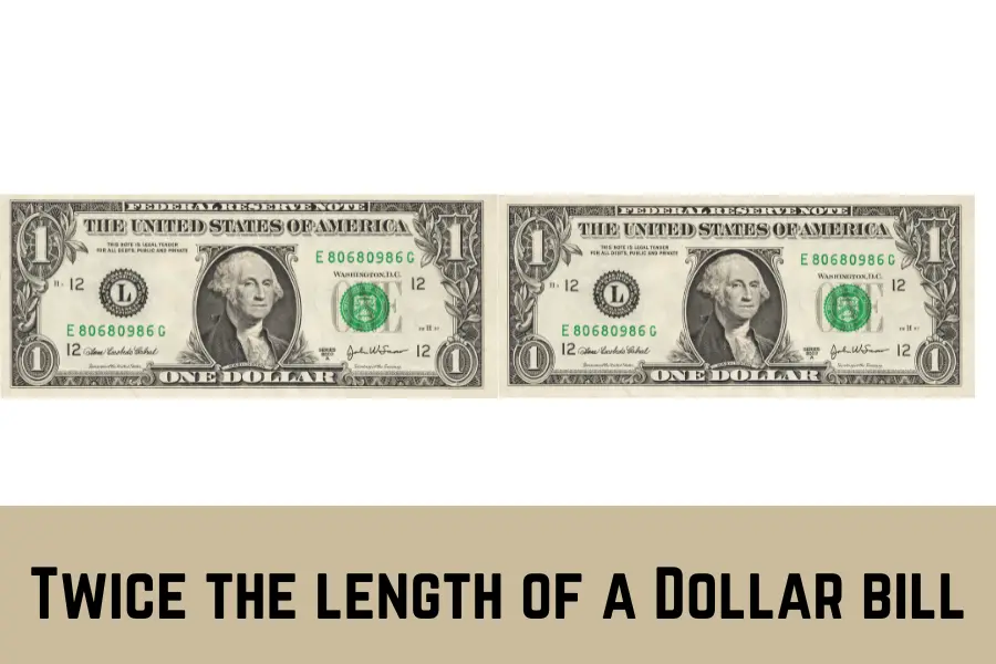 Twice the length of a Dollar bill