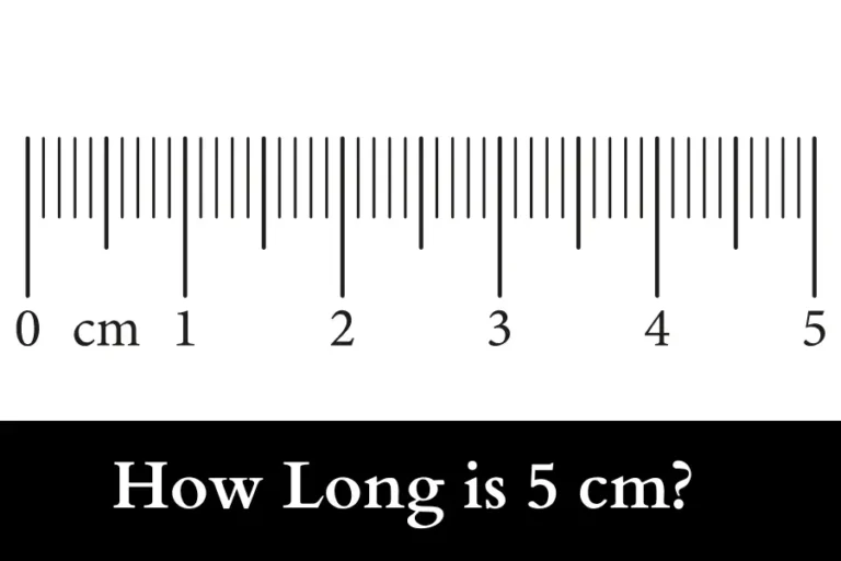 things that are 5 cm long