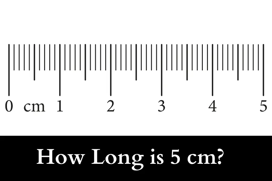 things that are 5 cm long