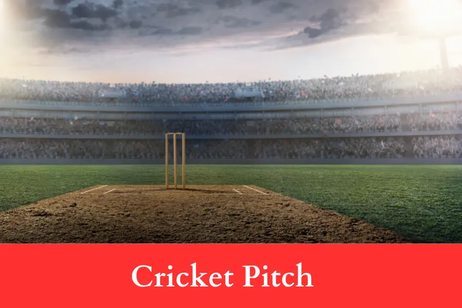 250 Times as Long as a Cricket Pitch Is 5 km