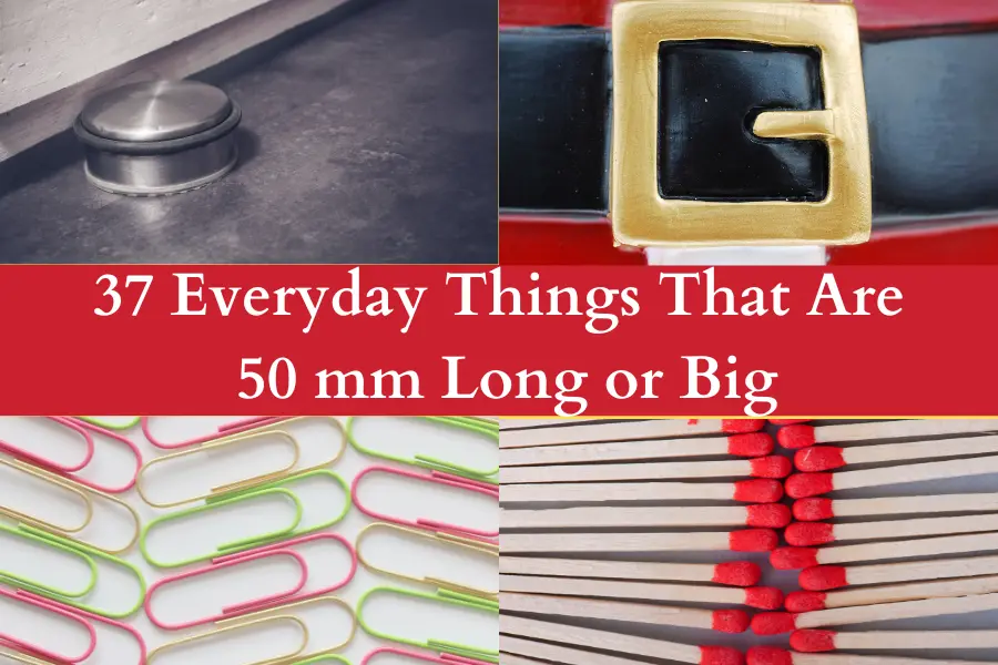 Things That Are 50 mm Long or Big