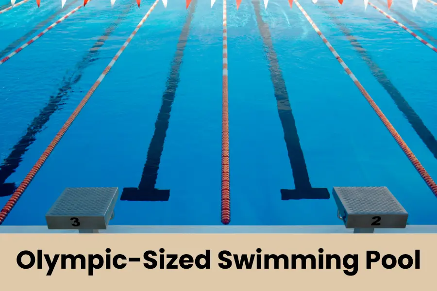 80 percent of Olympic-Sized Swimming Pool is 40 meters long or big