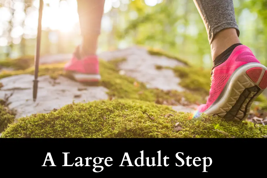 A Large Adult Step is one meter long