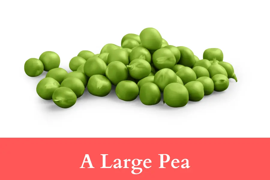 A Large Pea is 2 centimeters long