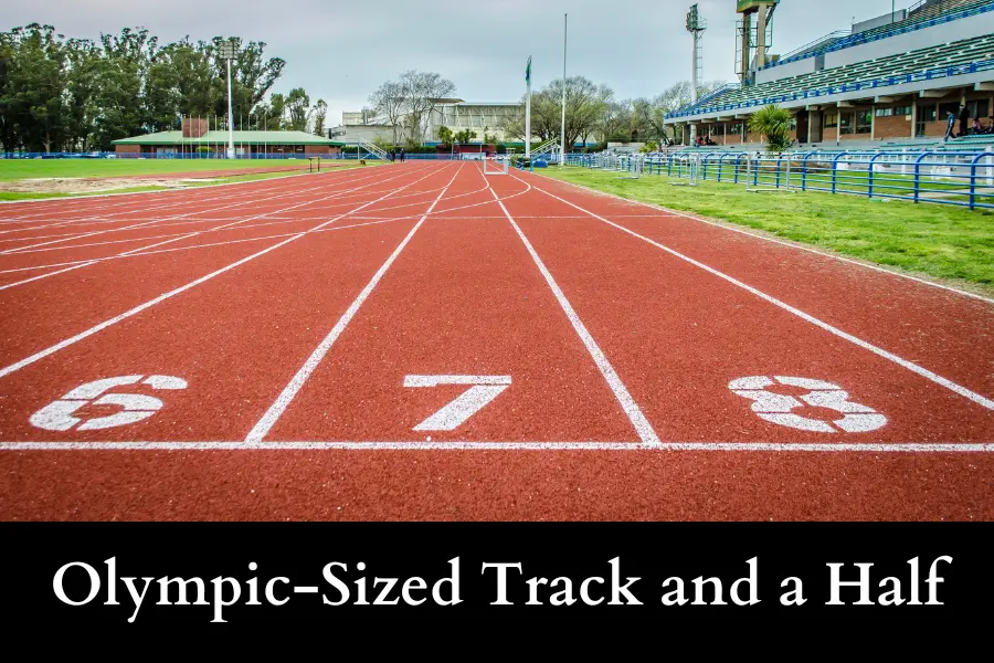 An Olympic-Sized Track and a Half is 500 meters