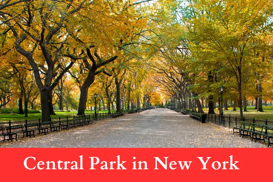 Central Park in New York Is 5 km