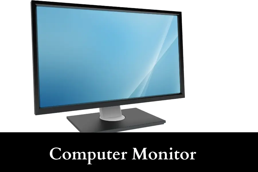 Computer Monitor is 20 inches long or big