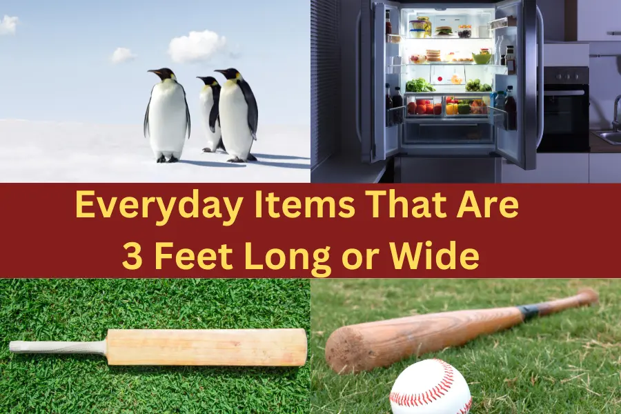 how long is 3 feet - Everyday Items That Are 3 Feet Long