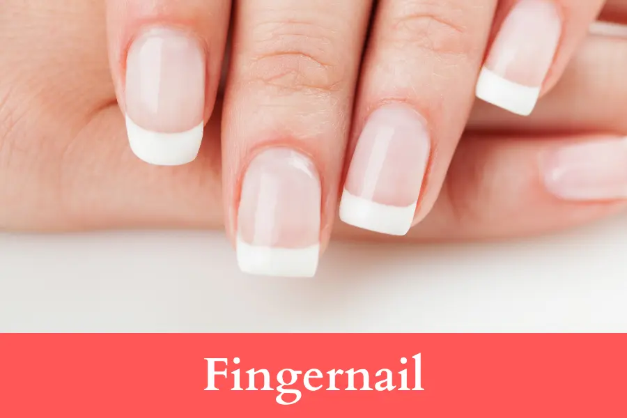 Fingernail is 2 centimeters long