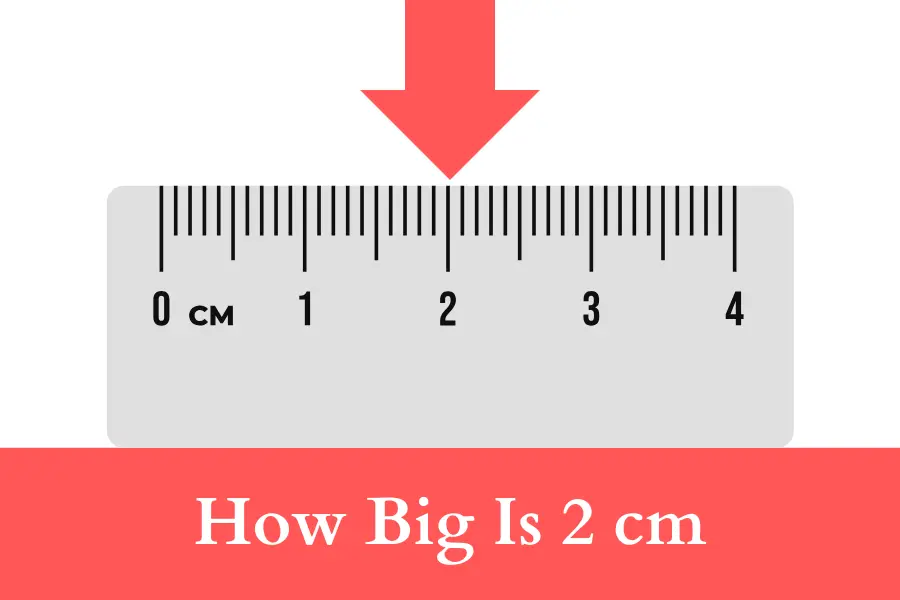 How Big Is 2 cm on a ruler