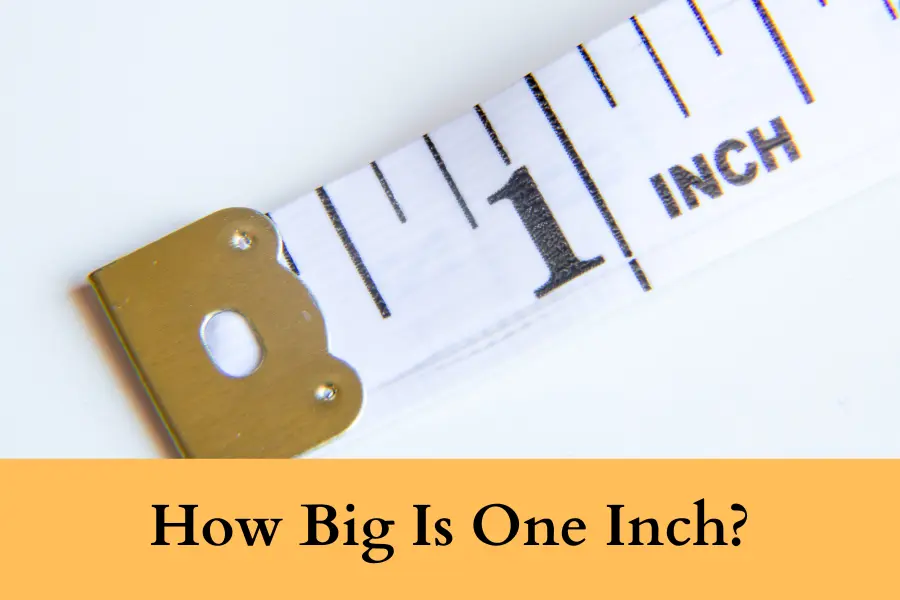 How Big Is One Inch