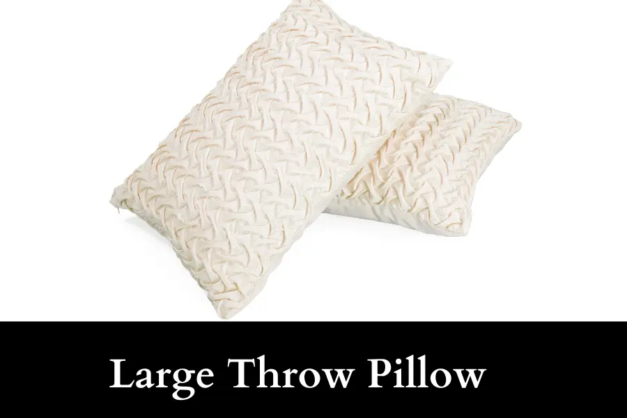 Large Throw Pillow is 20 inches long or big