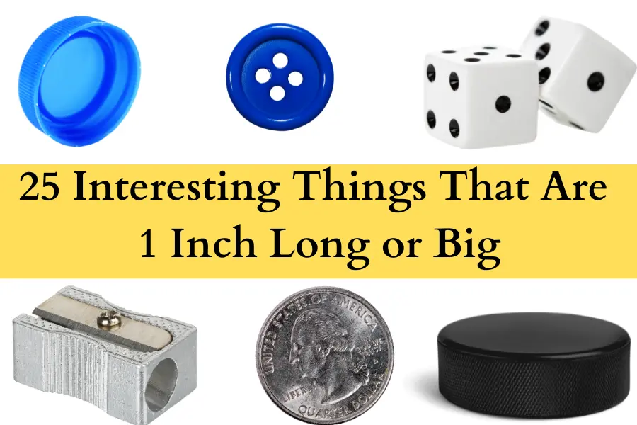 Things That Are 1 Inch Long or Big