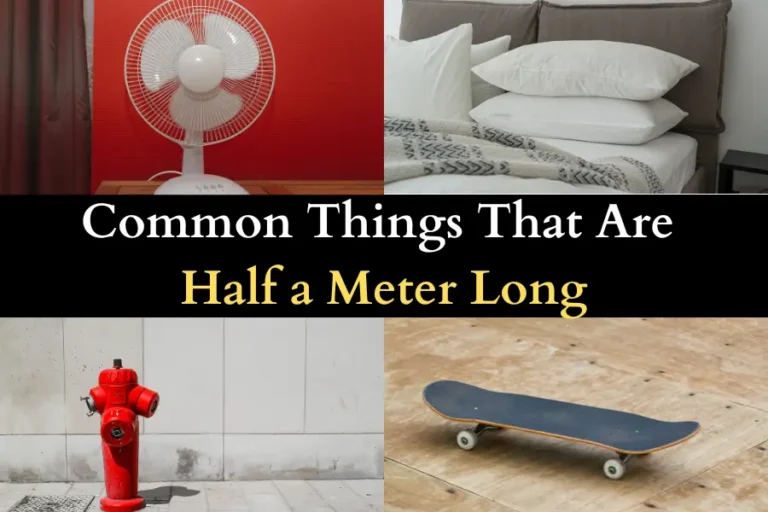 Things That Are Half a Meter Long