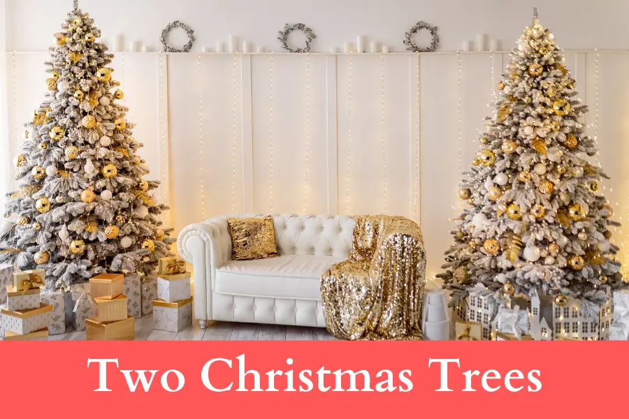 Two Christmas Trees is 400 centimeters long