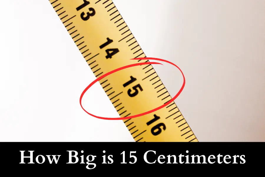 How Big is 15 Centimeters: things that are 15 cm long or big