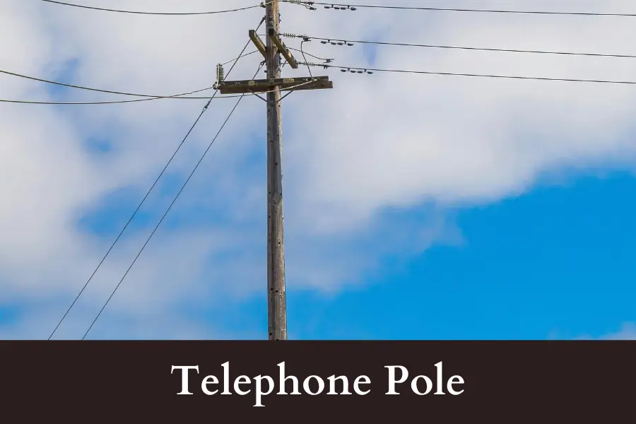 Telephone Pole is 100 Feet big