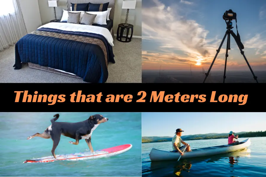 Things that are 2 Meters Long